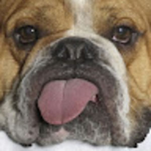 Meet your Posher, Juan